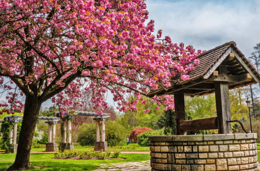 Top 5 unusual parks in Lyon where you can enjoy yourself! - Blog Chez ...